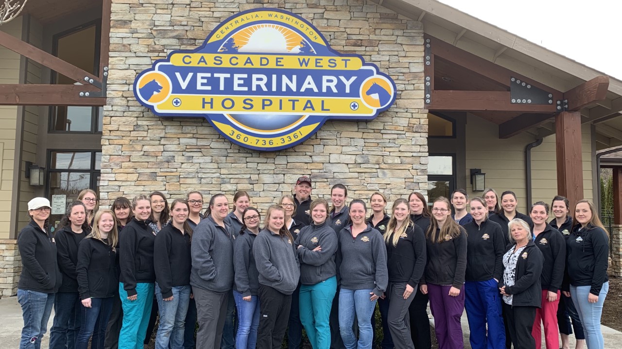 West hot sale veterinary hospital