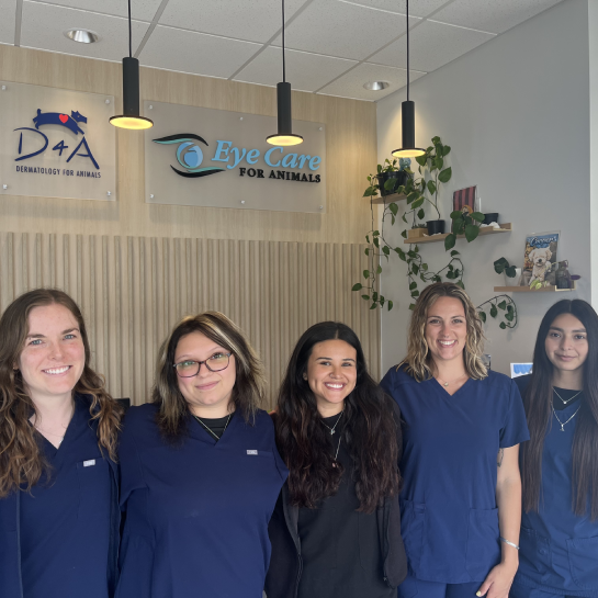 Eye Care For Animals - San Marcos