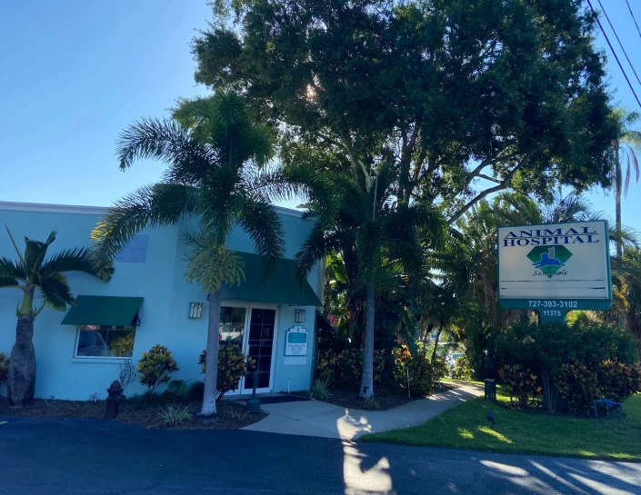 Animal Hospital of Seminole