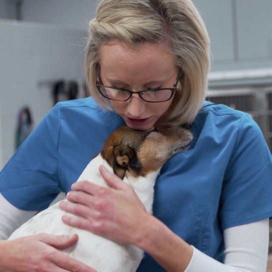 Animal Medical Clinic of Peachtree City