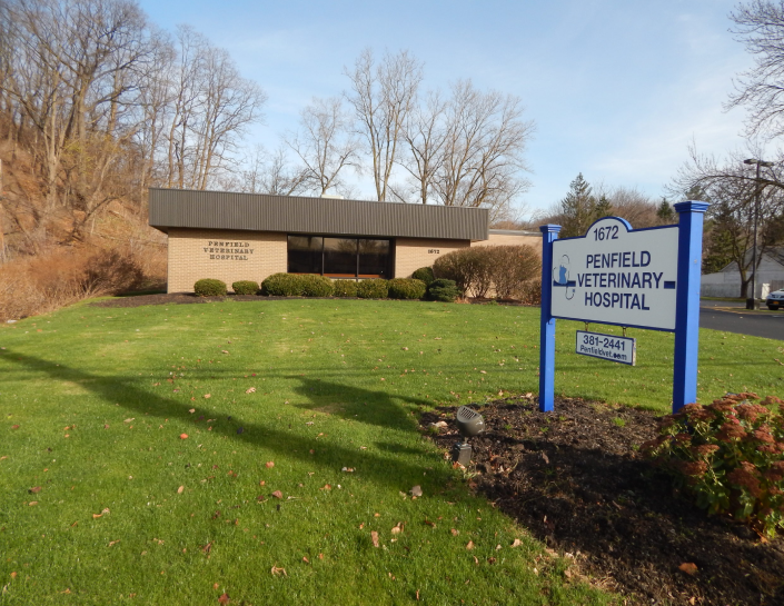 Penfield Veterinary Hospital Thrive Pet Healthcare