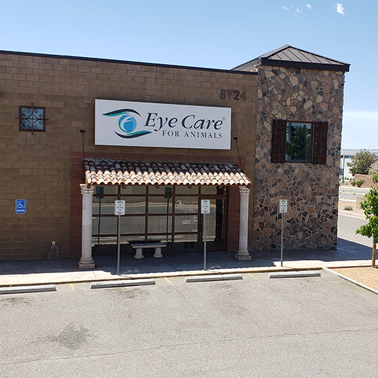 Eye Care For Animals - Albuquerque