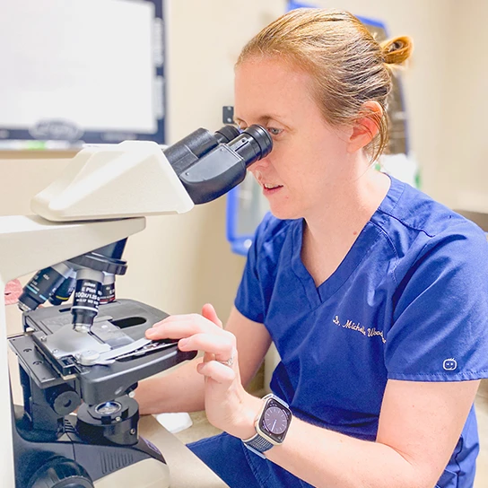 Baton Rouge Veterinary Referral Center