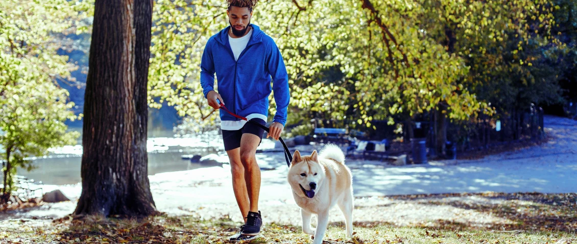 Man walking a dog in a park