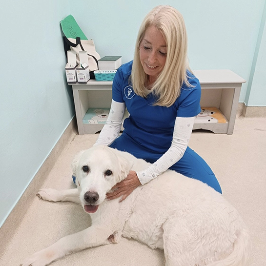 Peace Love Pets Veterinary Care