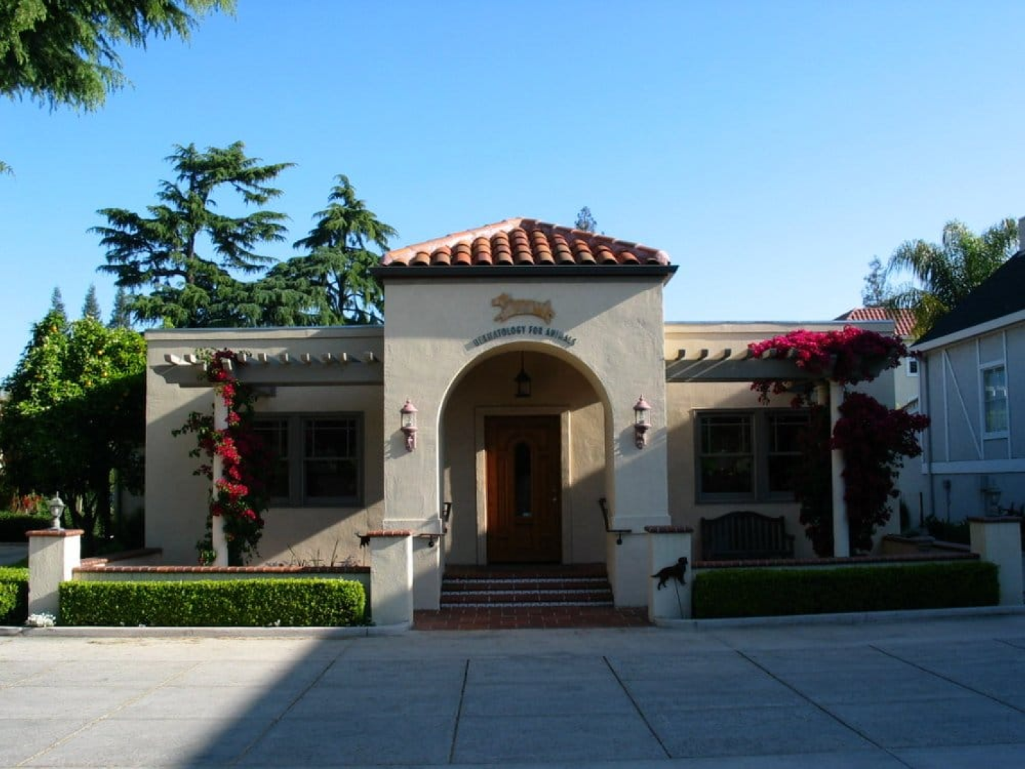 Veterinary Dermatology Campbell Dermatology for Animals