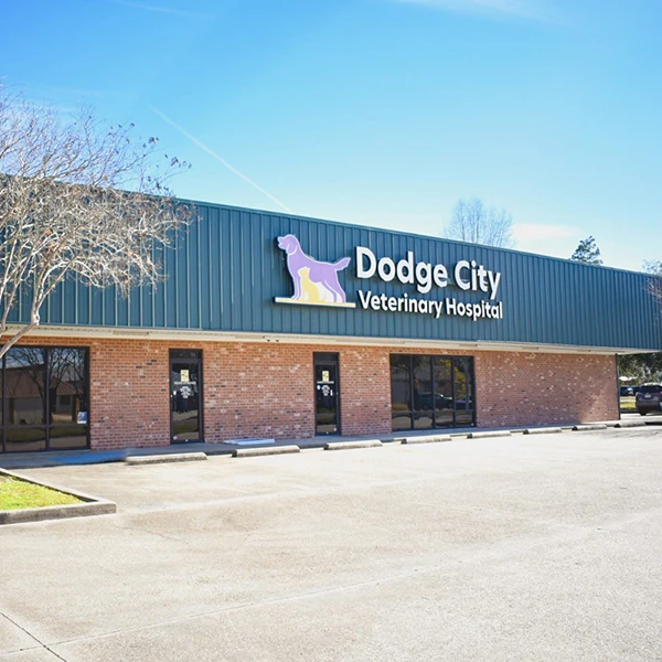 Dodge City Veterinary Hospital Thrive Pet Healthcare
