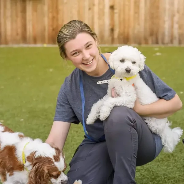 The Pet Hospitals Collierville 