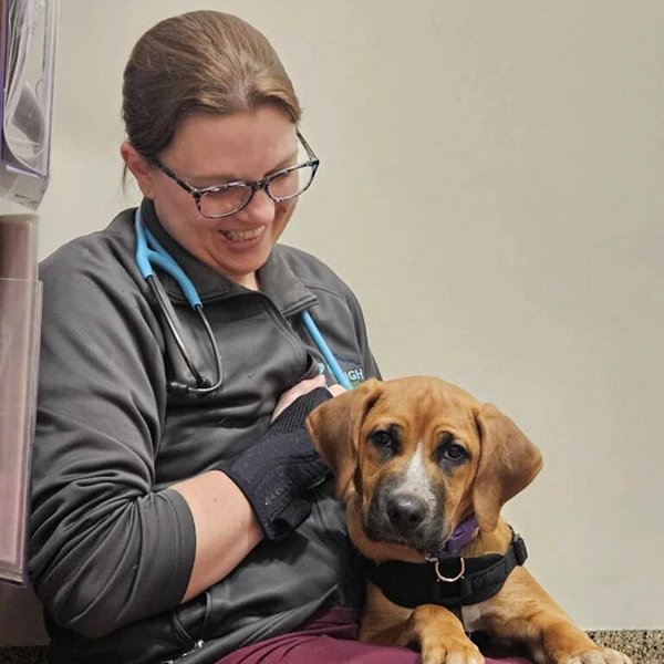 Mile High Animal Hospital