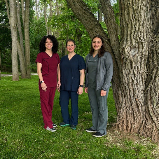 Fairview Veterinary Hospital