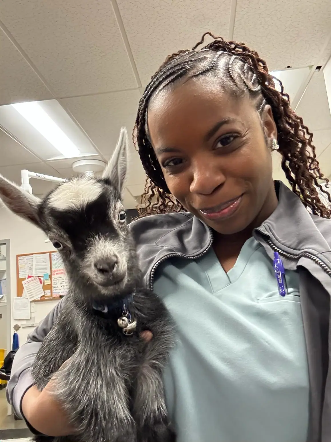 Thrive Pet Healthcare - Decatur