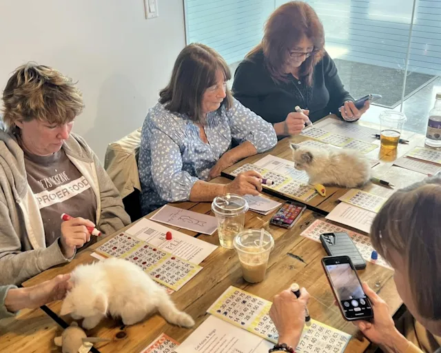 Kit-TEA & Bingo