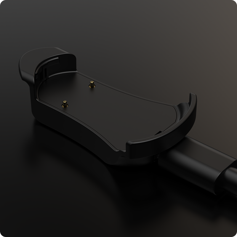 NGStrydCharger.png