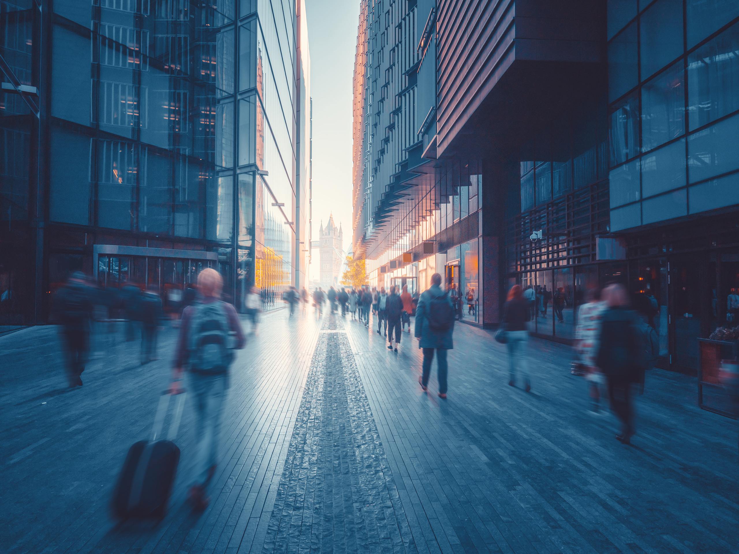 ARGUS Voyanta Real Estate Reporting Software Altus Group