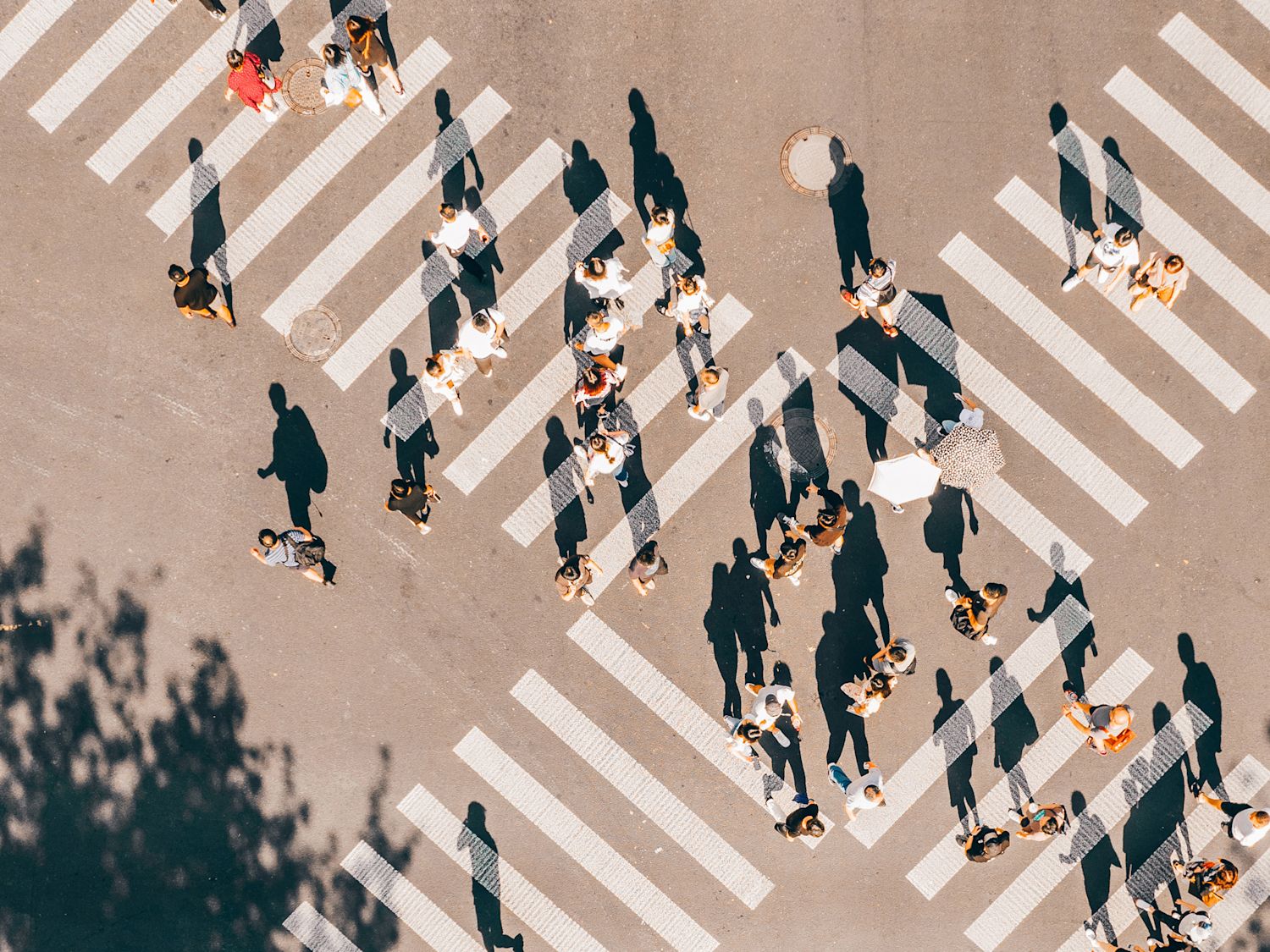 Newsroom | Altus Group