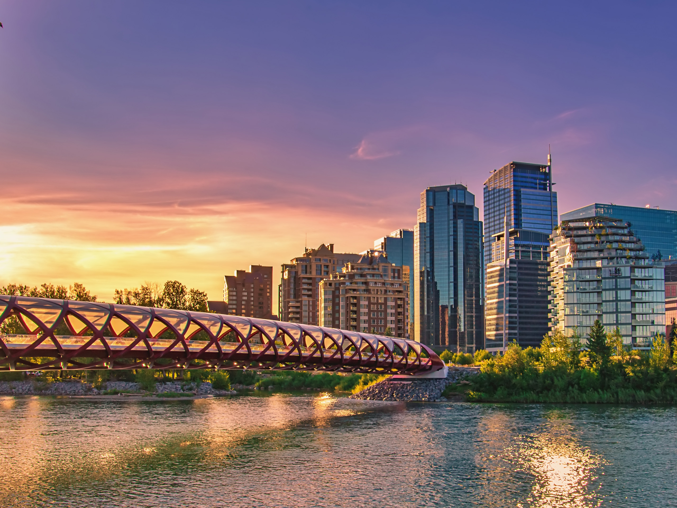 Calgary Property Tax Assessment Updates Altus Group Insights