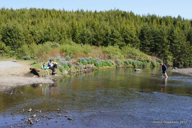 On a settlement memorial day in Þjórsárdalur National Forest. Photo credits: Pétur Halldórsson
