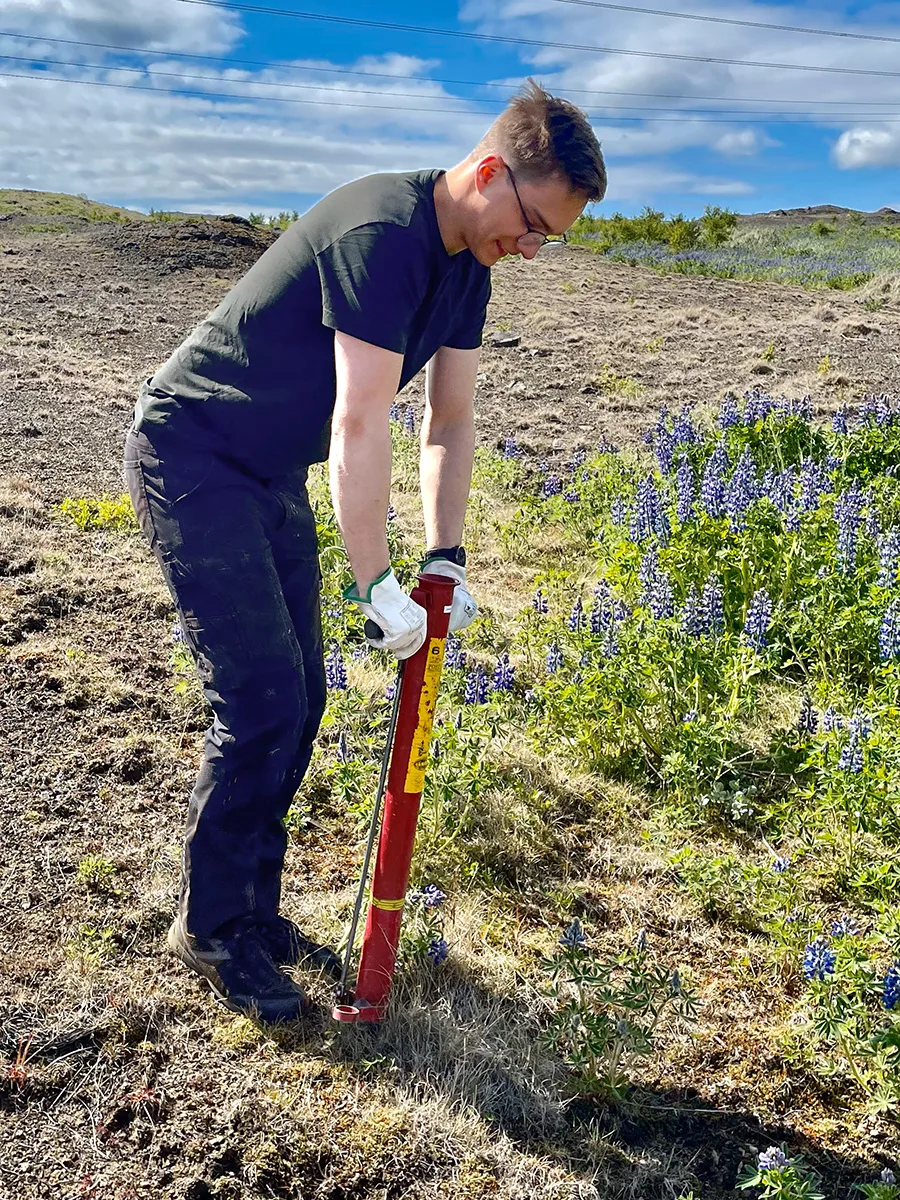 Gróðursett með geispu. Ljósmynd: Berglind Guðjónsdóttir