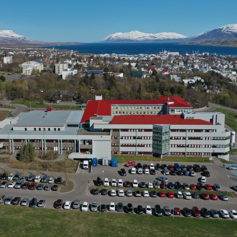 View at SAk from the air