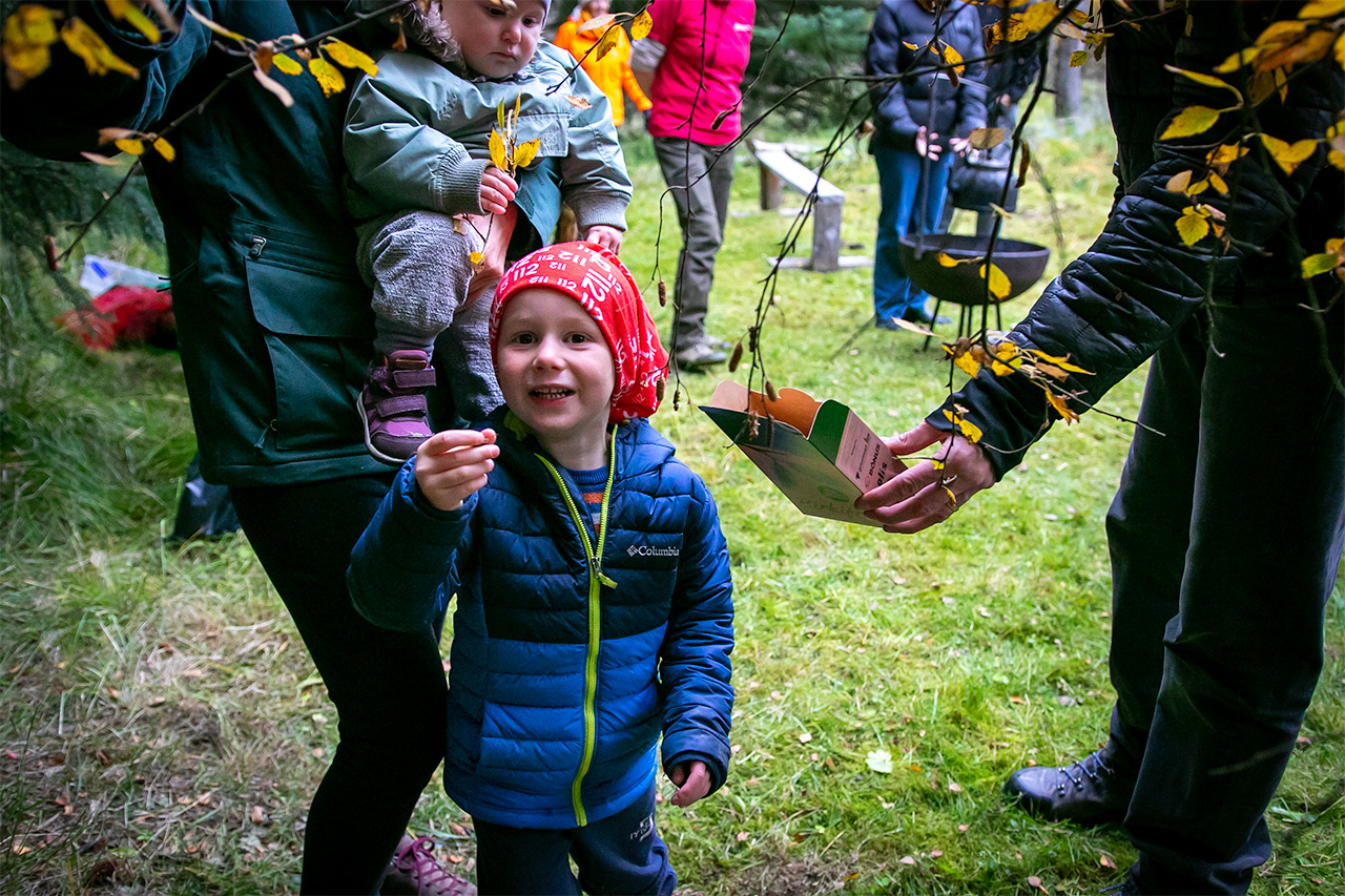 Collecting birchs seeds in Garðsárreitur Fores 2022. Photo: Pétur Halldórsson