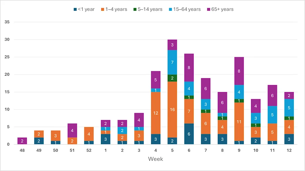 Fig. 3. RSV. Vika 12