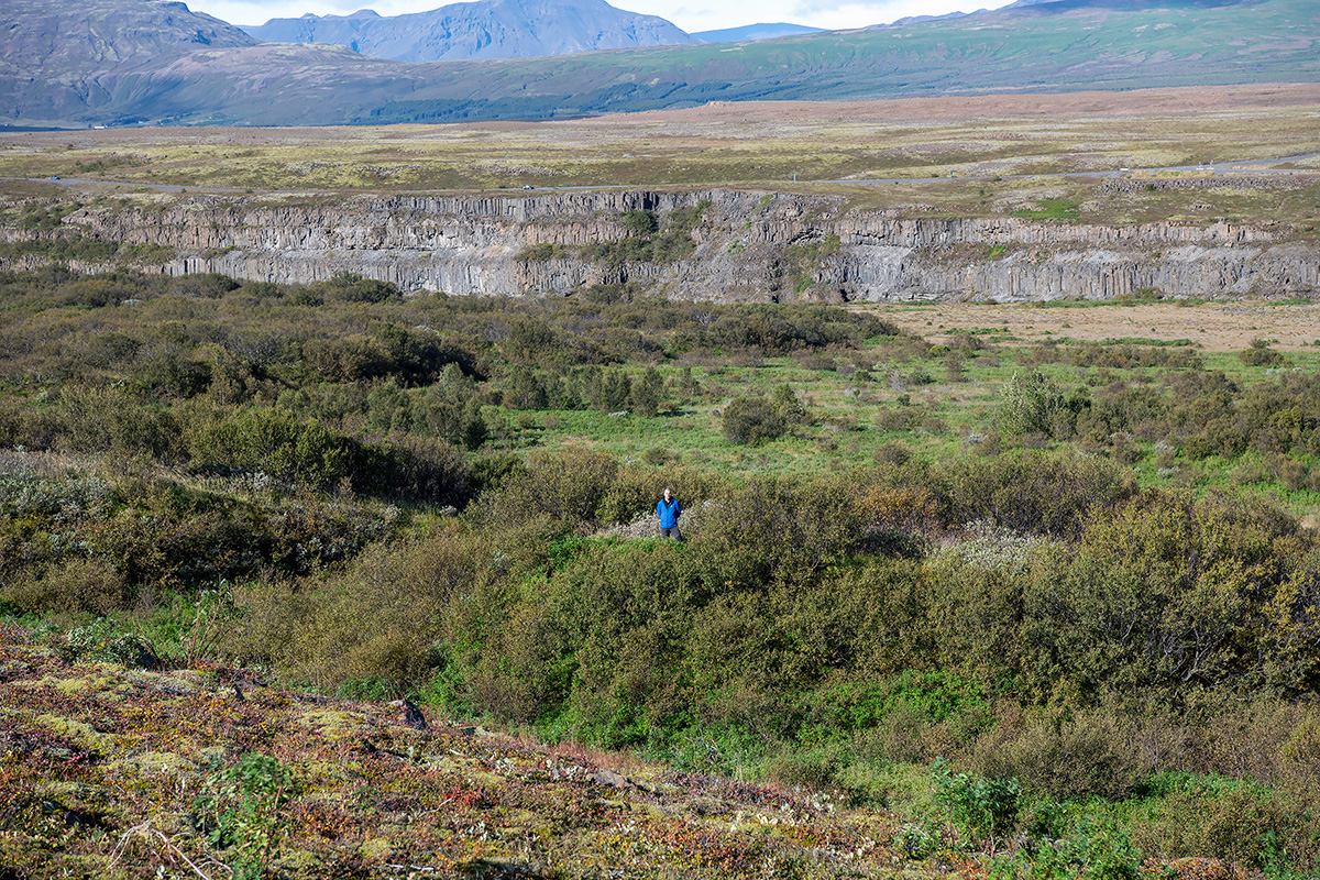 Land reclamation area near Gullfoss waterfall 2024. Photo: Áskell Þórisson