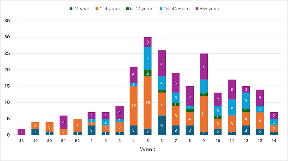 Fig. 3. Fjöldi greininga með RSV. Vikur 13 og 14