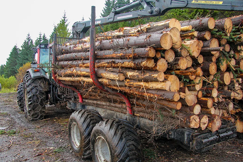 A timber trailer in Stálpastaðir National Forest. Photo credits: Pétur Halldórsson