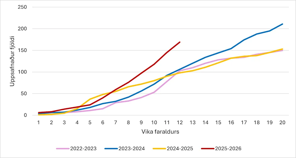 Mynd 4. Uppsafnaður fjöldi innlagna. Vika 50