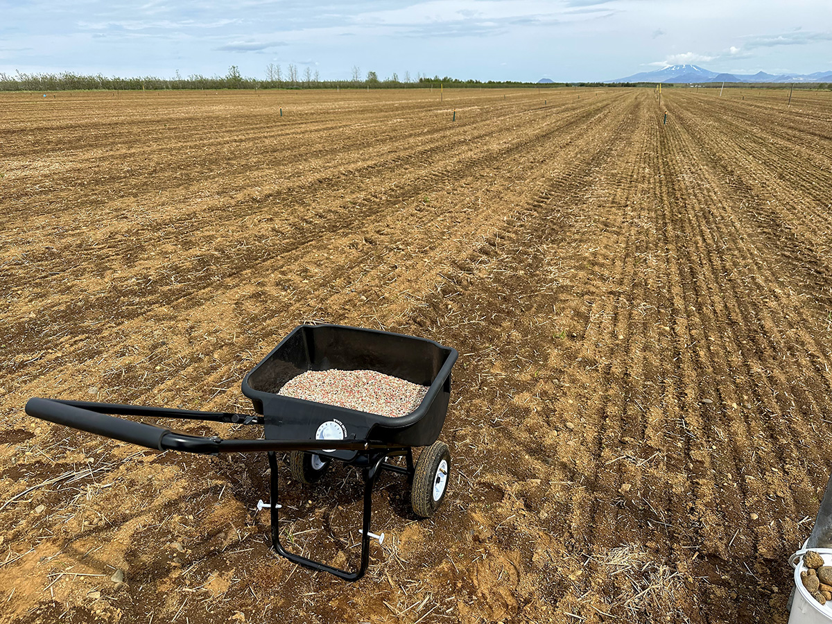 Fertiliser distributor in an experimental plot. Photo: Magnús H. Jóhannsson