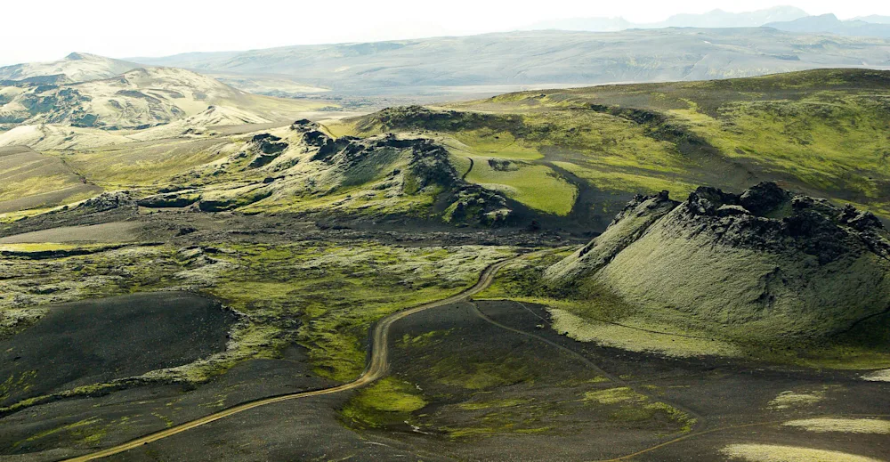 Mosagróið land