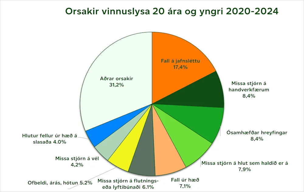 Orsakir vinnuslysa 20 ára og yngri 2020-2024