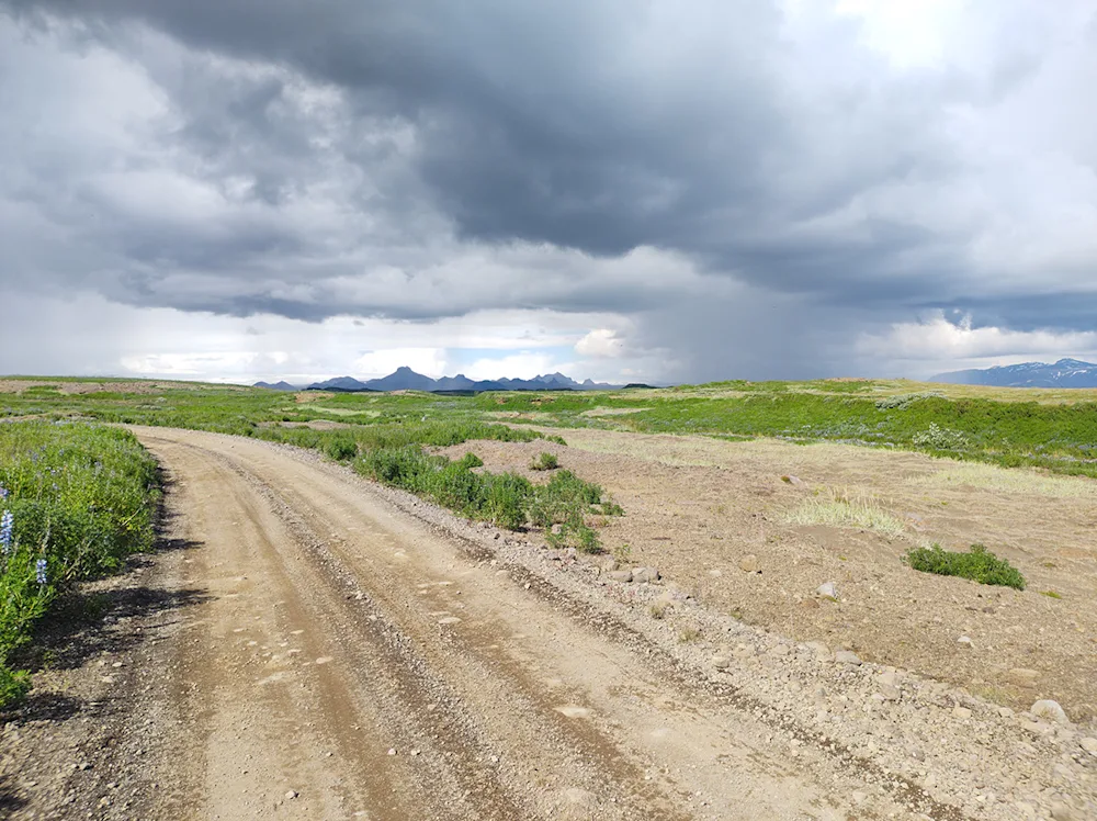 Á Haukadalsheiði ofan Haukadalsskógar horft til Jarlhettna. Ljósmynd: Pétur Halldórsson