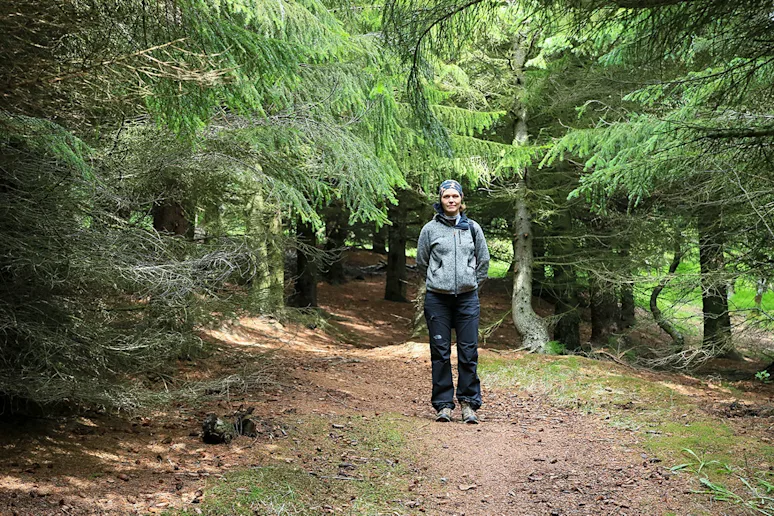 Forest walk in Reykjarhóll National Forest. Photo credits: Pétur Halldórsson