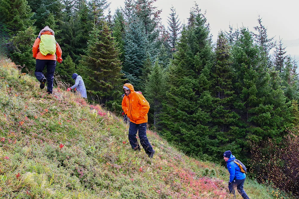 Hikers climbing a steep hill in Stálpastaðir National Forest. Photo credits: Pétur Halldórsson