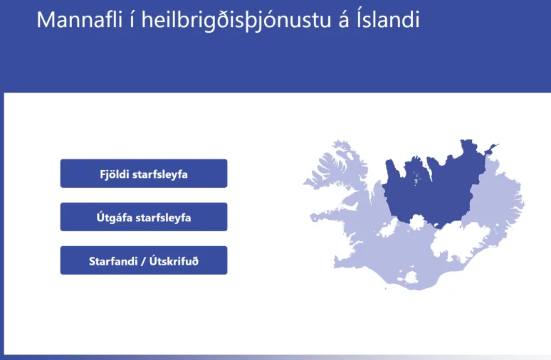 Mannafli í heilbrigðisþjónustu á Íslandi - mælaborð
