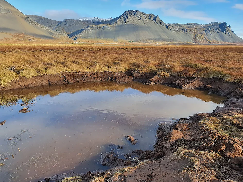 Drained land in 2020