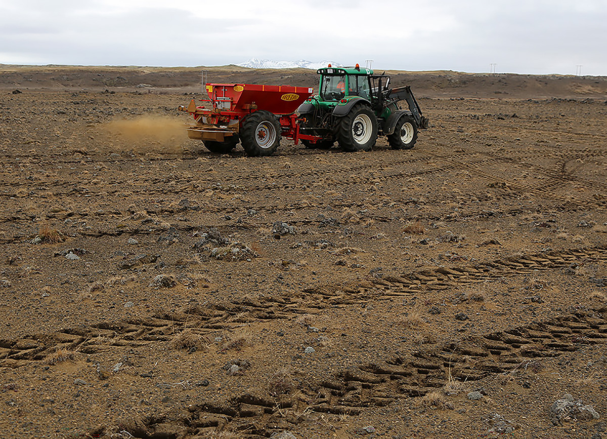 Bone meal being applied to derelict land. Photo: Garðar Þorfinnsson