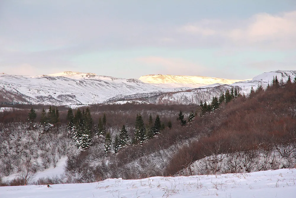 Winter in Þjórsárdalur National Forest. Photo credits: Pétur Halldórsson