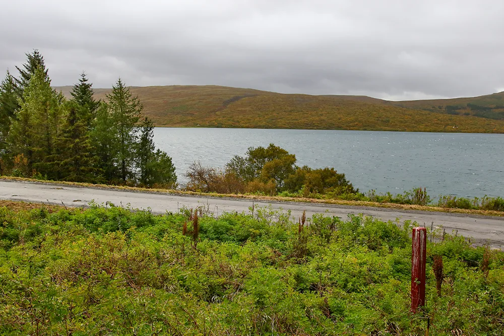 A view over Lake Skorradalur from the Stálpastaðir National Forest: Photo credits. Pétur Halldórsson