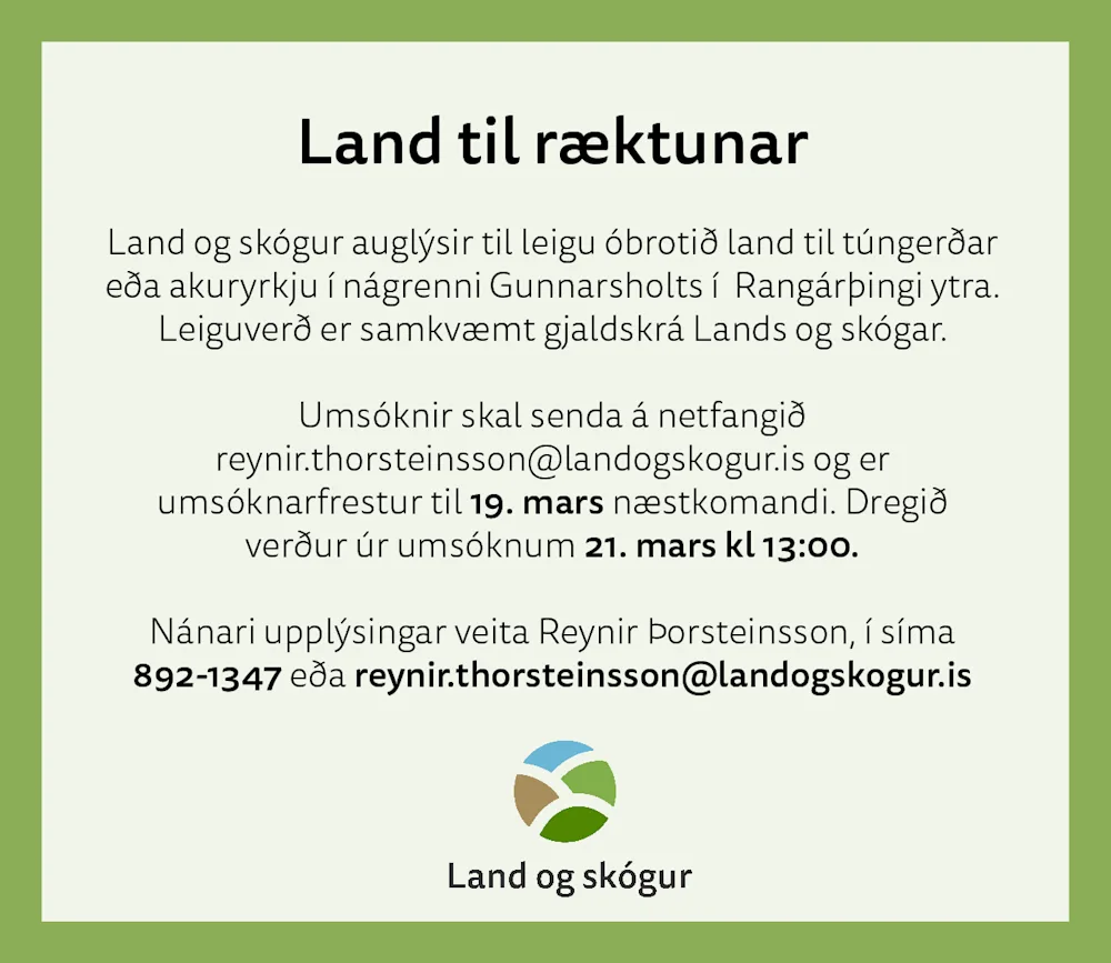 Arable land for rent in Gunnarsholt, untilled land suitable for hay meadow or corn field cultivation.