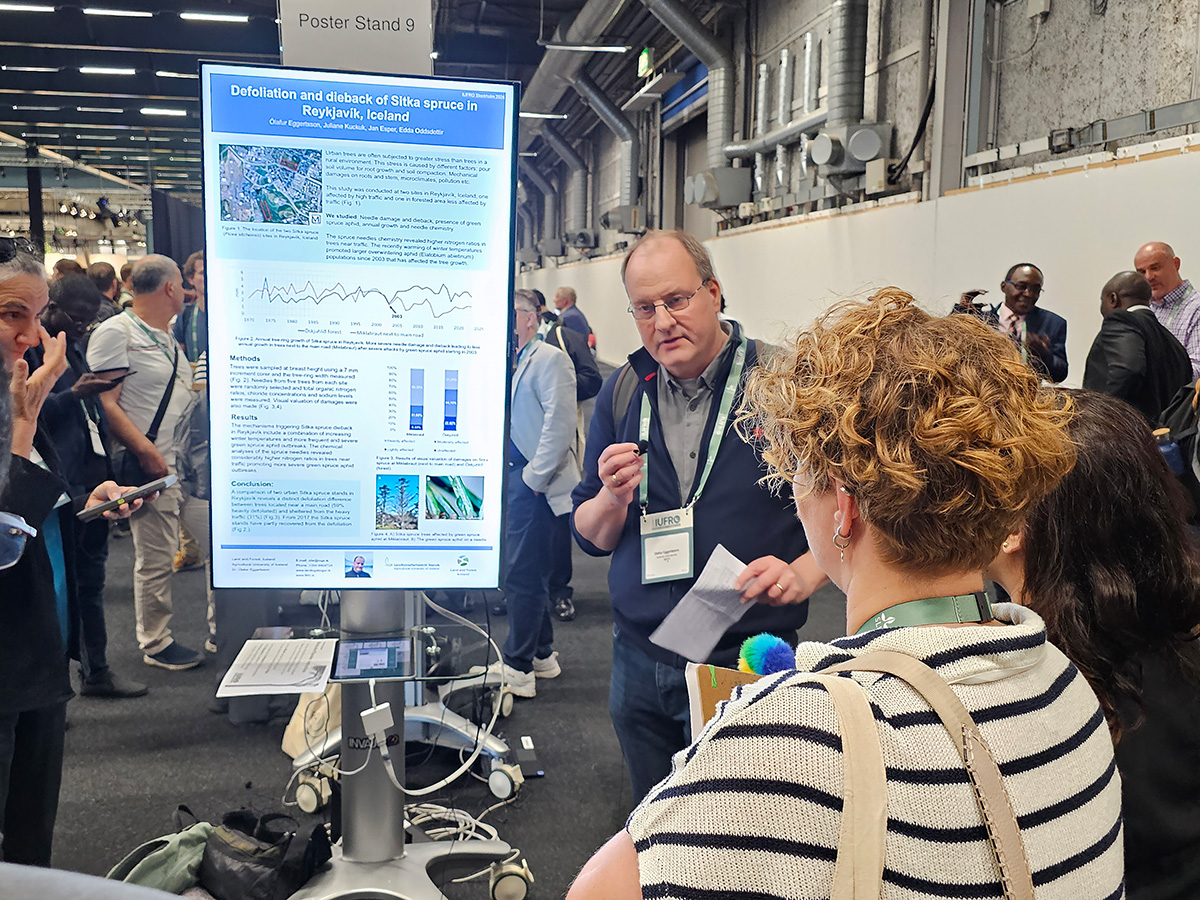 Dr. Ólafur Eggertsson, expert at Land and Forest Iceland, giving a poster presentation on the effects of spruce aphid in Iceland