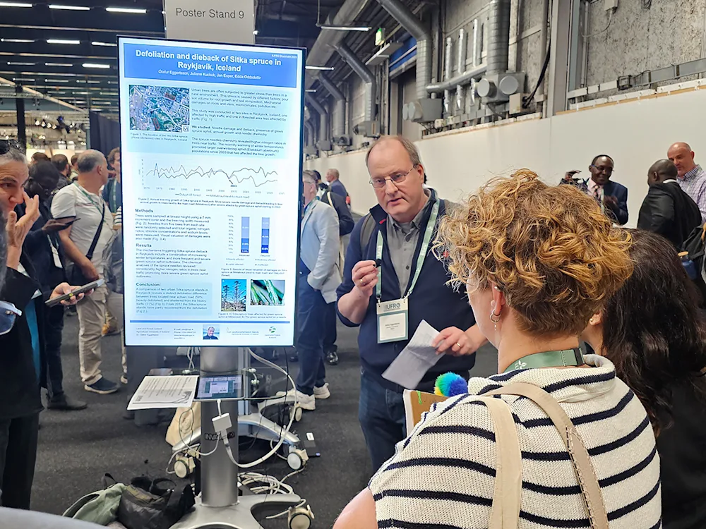 Dr. Ólafur Eggertsson, expert at Land and Forest Iceland, giving a poster presentation on the effects of spruce aphid in Iceland. Photo: Pétur Halldórsson