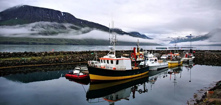 dreamstime nigel-nudds-mjoifjordur