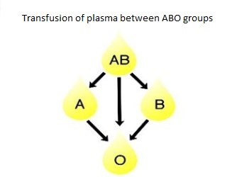 Transfusion of plasma between ABO groups