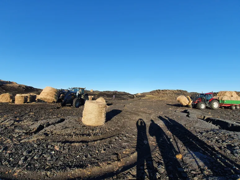 Distribution of hay rolls in a Landbótasjóður project