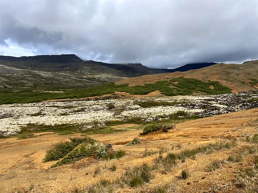 Uppgræðslusvæði í Hítardal, þar sem gróður er farinn að gisna en yfirborð stöðugt, er tilvalið fyrir víðigræðlinga með beinni stungu. Ljósmynd: Berglind Guðjónsdóttir.