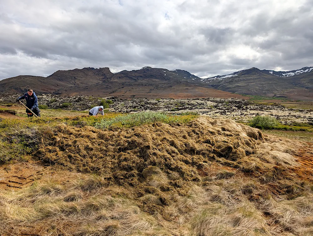 Írskir búfræðingar taka til hendinni við uppgræðslu í Hítardal. Ljósmynd: Iðunn Hauksdóttir