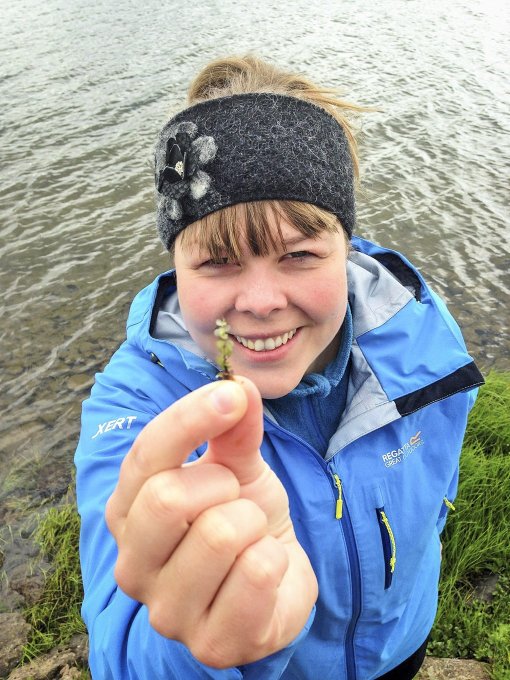 Ágústa Helgadóttir, biologist and project manager for wetland restoration at Land and Forest Iceland.