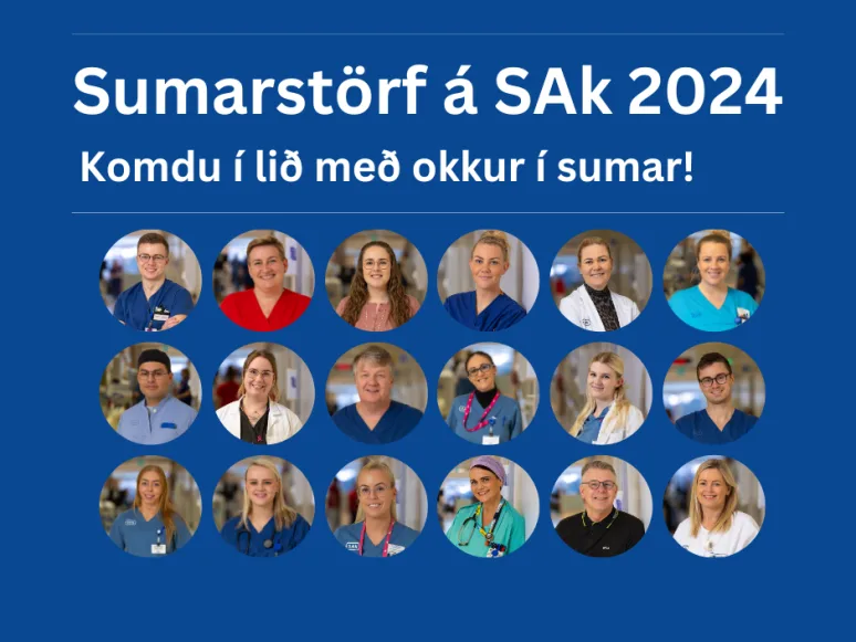 Sumarstöf á SAk 2024